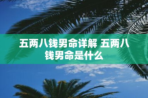 五两八钱男命详解 五两八钱男命是什么