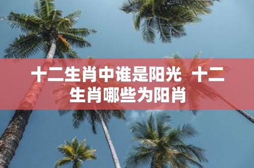 十二生肖中谁是阳光 十二生肖哪些为阳肖