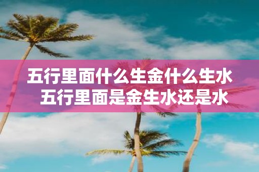 五行里面什么生金什么生水 五行里面是金生水还是水生金