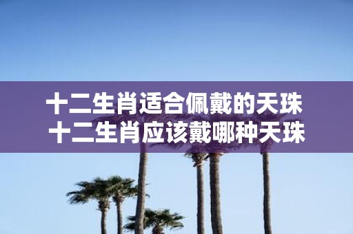 十二生肖适合佩戴的天珠 十二生肖应该戴哪种天珠
