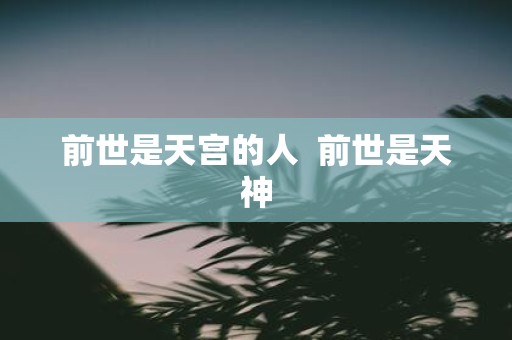 前世是天宫的人 前世是天神