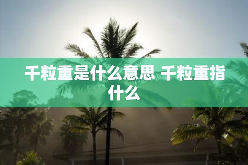 千粒重是什么意思 千粒重指什么