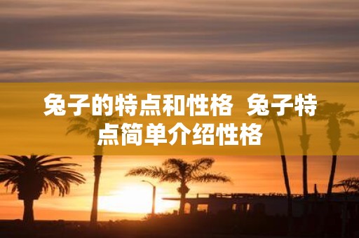 兔子的特点和性格 兔子特点简单介绍性格