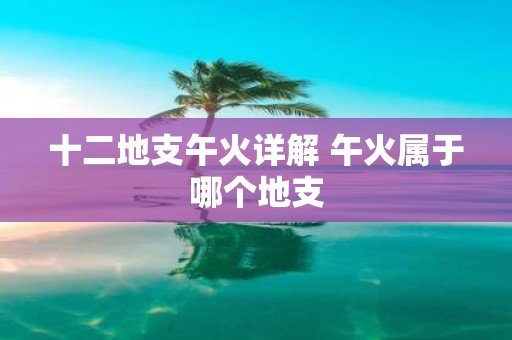 十二地支午火详解 午火属于哪个地支