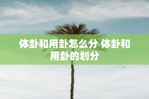 体卦和用卦怎么分 体卦和用卦的划分