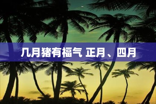 几月猪有福气 正月、四月