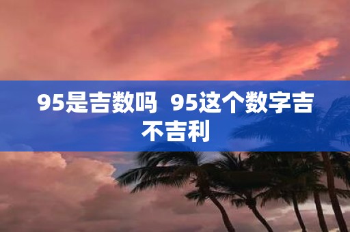95是吉数吗 95这个数字吉不吉利