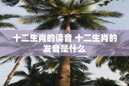 十二生肖的读音 十二生肖的发音是什么