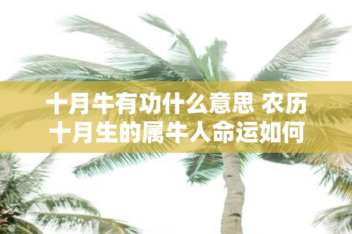十月牛有功什么意思 农历十月生的属牛人命运如何