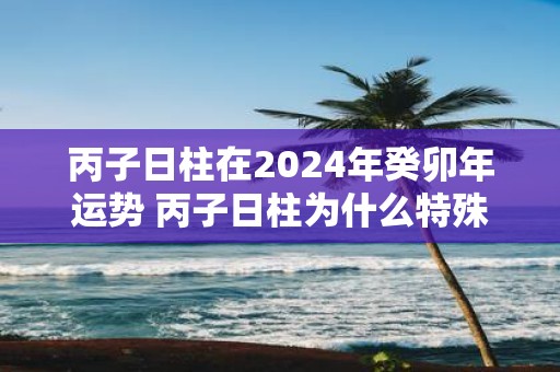 丙子日柱在2025年癸卯年运势 丙子日柱为什么特殊