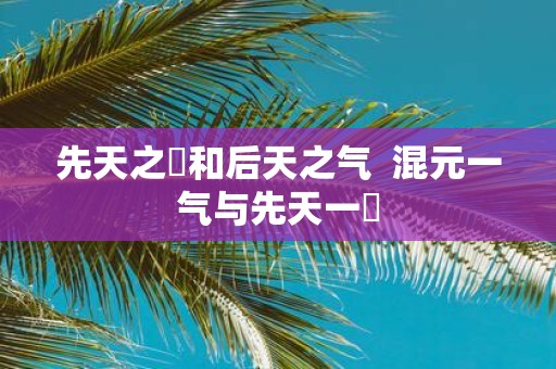 先天之炁和后天之气 混元一气与先天一炁