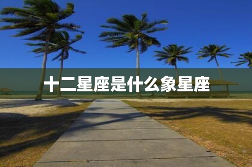 十二星座是什么象星座