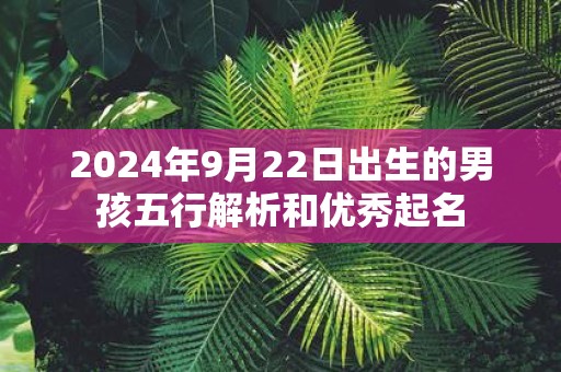 2025年9月22日出生的男孩五行解析和优秀起名
