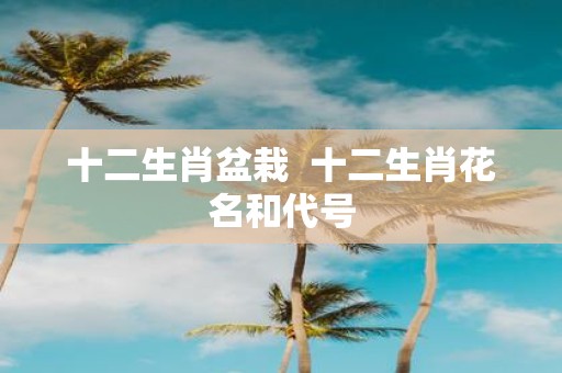 十二生肖盆栽 十二生肖花名和代号