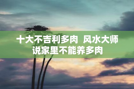 十大不吉利多肉 风水大师说家里不能养多肉