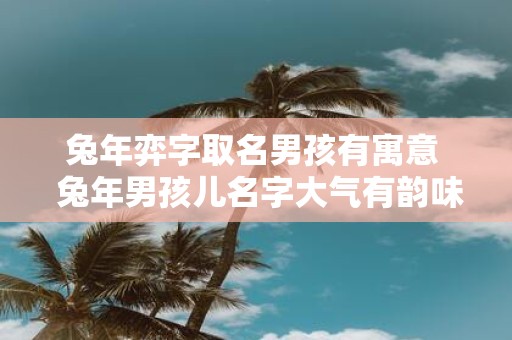 蛇年弈字取名男孩有寓意 蛇年男孩儿名字大气有韵味