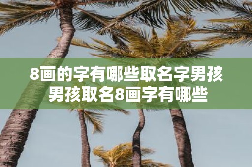 8画的字有哪些取名字男孩 男孩取名8画字有哪些