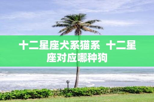 十二星座犬系猫系 十二星座对应哪种狗