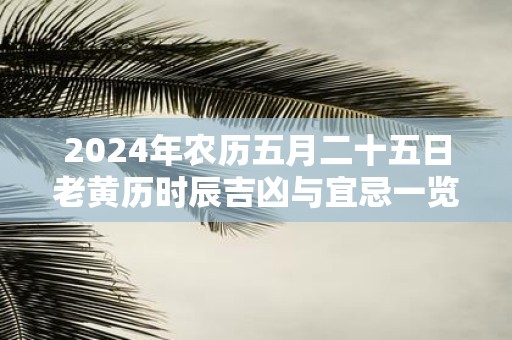 2025年农历五月二十五日老黄历时辰吉凶与宜忌一览表