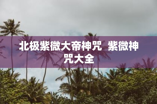 北极紫微大帝神咒 紫微神咒大全