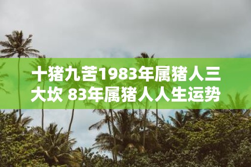 十猪九苦1983年属猪人三大坎 83年属猪人人生运势