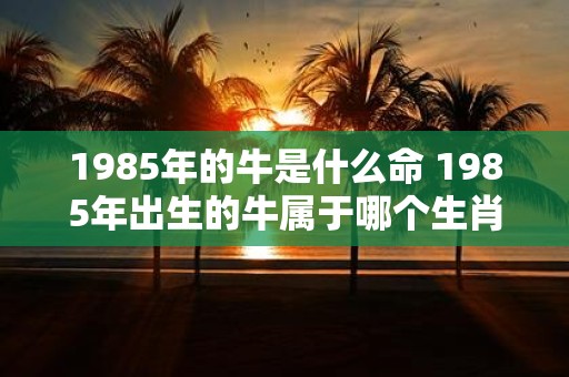 1985年的牛是什么命 1985年出生的牛属于哪个生肖