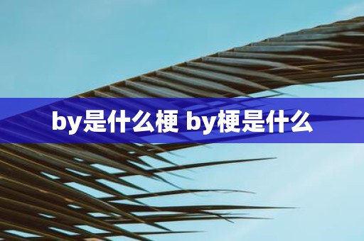 by是什么梗 by梗是什么