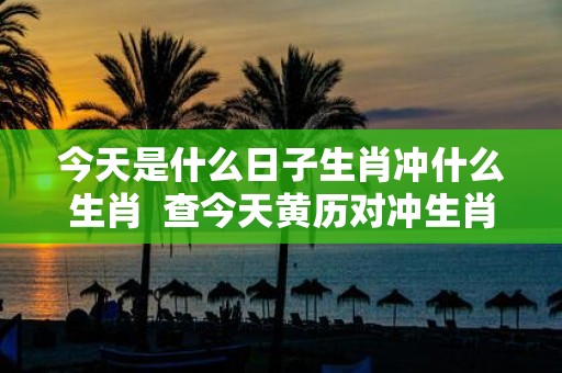 今天是什么日子生肖冲什么生肖 查今天黄历对冲生肖