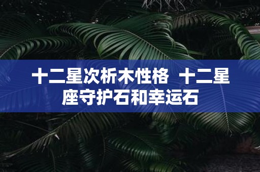 十二星次析木性格 十二星座守护石和幸运石