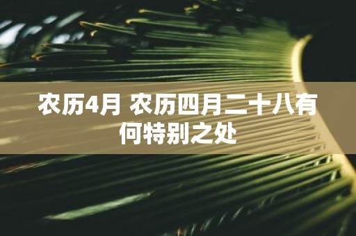 农历4月 农历四月二十八有何特别之处