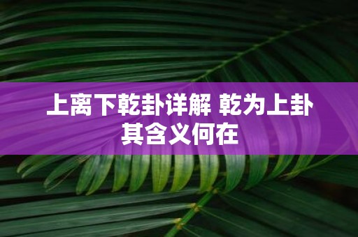 上离下乾卦详解 乾为上卦其含义何在