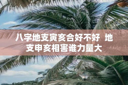 八字地支寅亥合好不好 地支申亥相害谁力量大