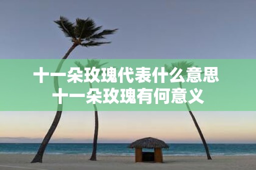十一朵玫瑰代表什么意思 十一朵玫瑰有何意义