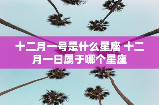 十二月一号是什么星座 十二月一日属于哪个星座