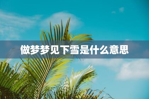 做梦梦见下雪是什么意思