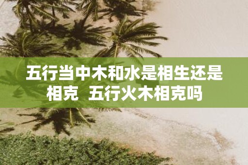 五行当中木和水是相生还是相克 五行火木相克吗