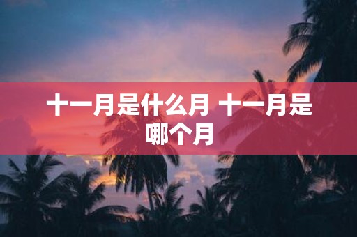 十一月是什么月 十一月是哪个月