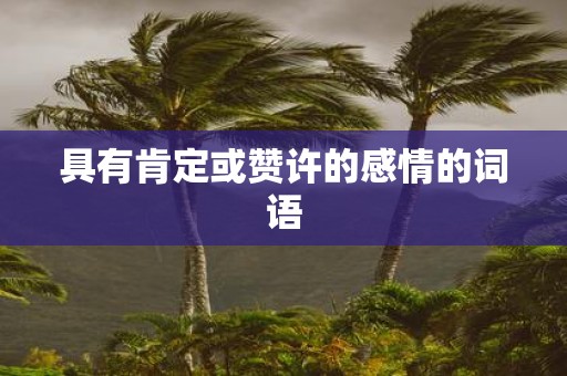 具有肯定或赞许的感情的词语