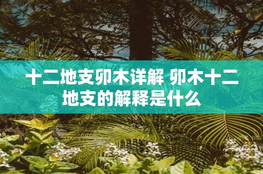 十二地支卯木详解 卯木十二地支的解释是什么