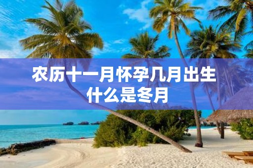 农历十一月怀孕几月出生 什么是冬月
