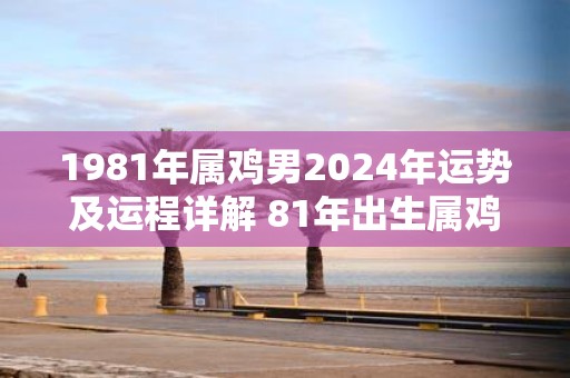 1981年属鸡男2025年运势及运程详解 81年出生属鸡人2025全年每月运势男性