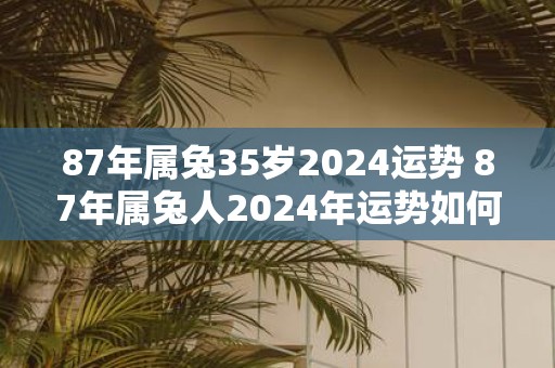 87年属兔35岁2025运势 87年属兔人2025年运势如何