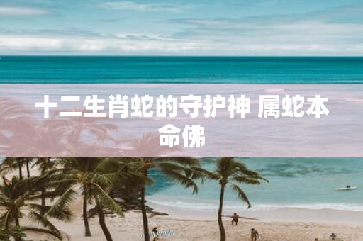 十二生肖蛇的守护神 属蛇本命佛