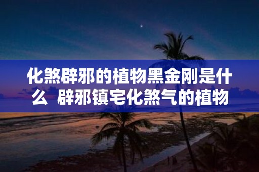 化煞辟邪的植物黑金刚是什么 辟邪镇宅化煞气的植物