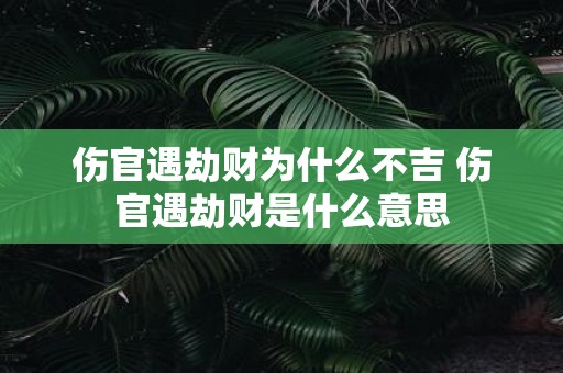 伤官遇劫财为什么不吉 伤官遇劫财是什么意思