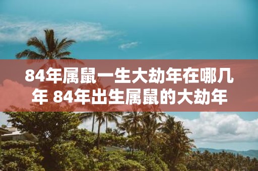 84年属鼠一生大劫年在哪几年 84年出生属鼠的大劫年是哪几年