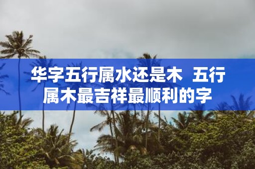 华字五行属水还是木 五行属木最吉祥最顺利的字