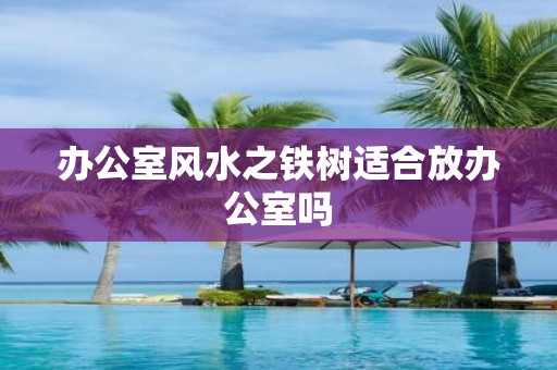 办公室风水之铁树适合放办公室吗