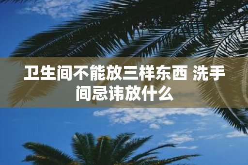 卫生间不能放三样东西 洗手间忌讳放什么