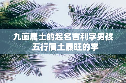 九画属土的起名吉利字男孩 五行属土最旺的字